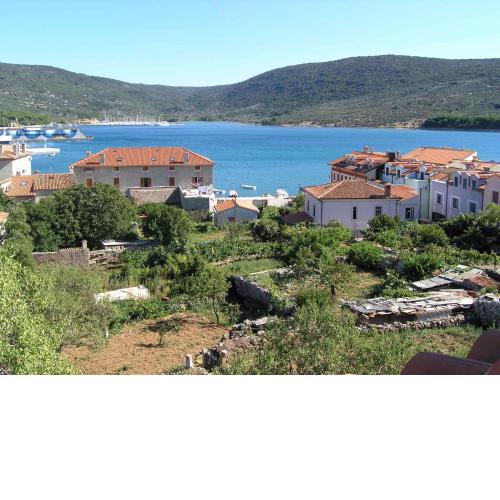 Apartments in Cres/Insel Cres 13668