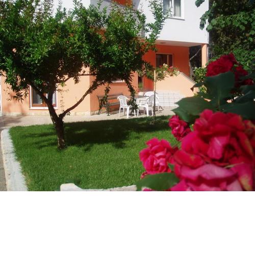 Apartments Karaba