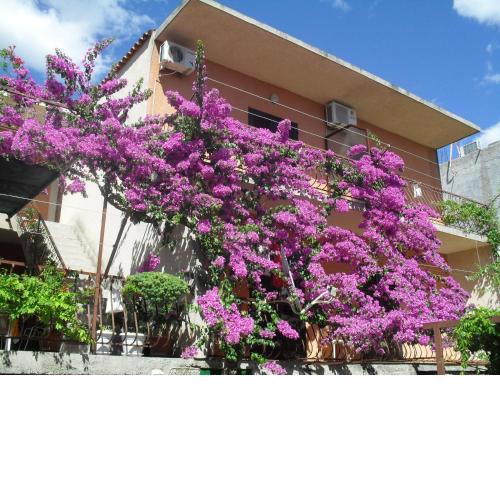 Apartments Katica