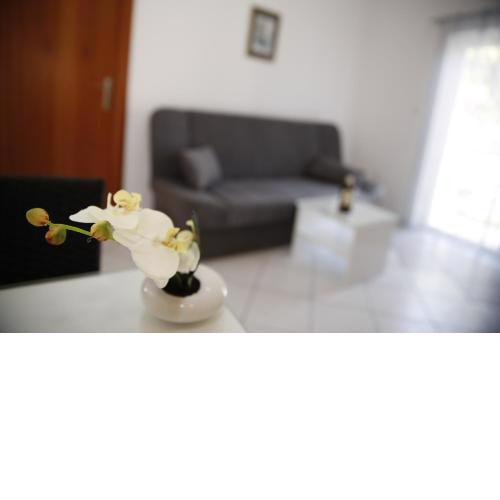 Apartments Lepur
