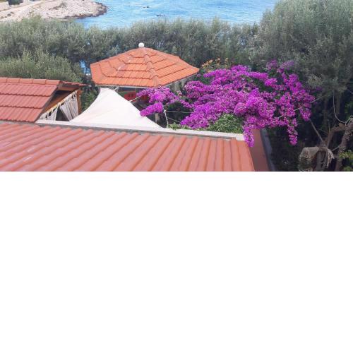 Apartments Luka