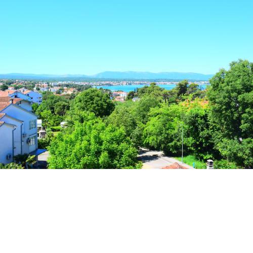 Apartments Milica