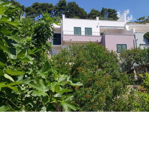Apartments Pero