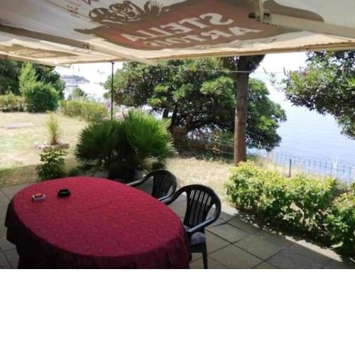 Apartments Tamara- 30m from sea