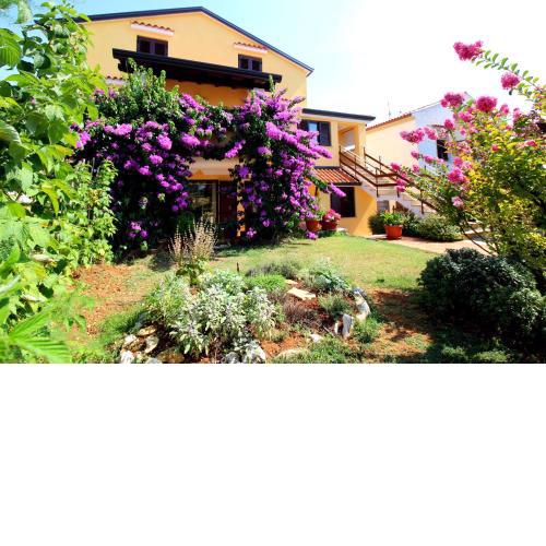 Apartments Tancel