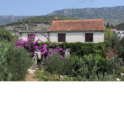 Apartments with a parking space Bol, Brac - 5605