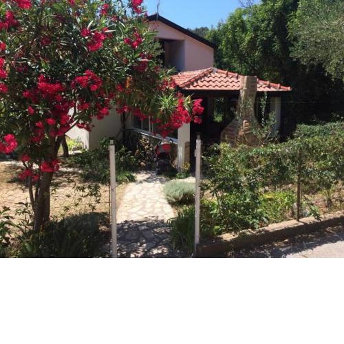Apartments with a parking space Zuljana, Peljesac - 20413