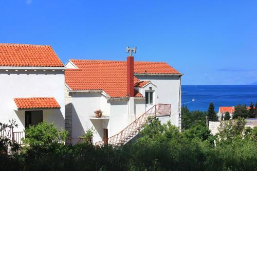 Apartments with a swimming pool Cavtat, Dubrovnik - 8829