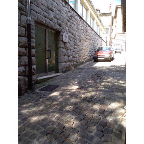 Apartments with WiFi Rijeka - 13882