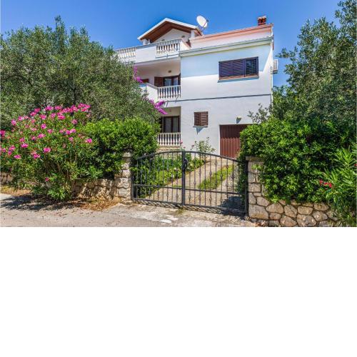 Beautiful Apartment In Petrcane With Wifi