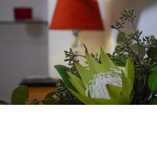 Boutique Guest Accommodation Zephyrus