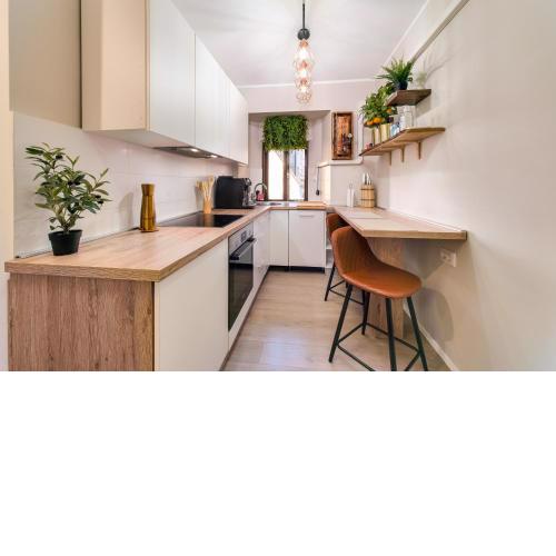 City Center Studio Apartment for Humans & Pets - One