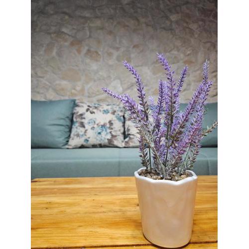 Dalmatia Rustica comfortable one bedroom+fireplace
