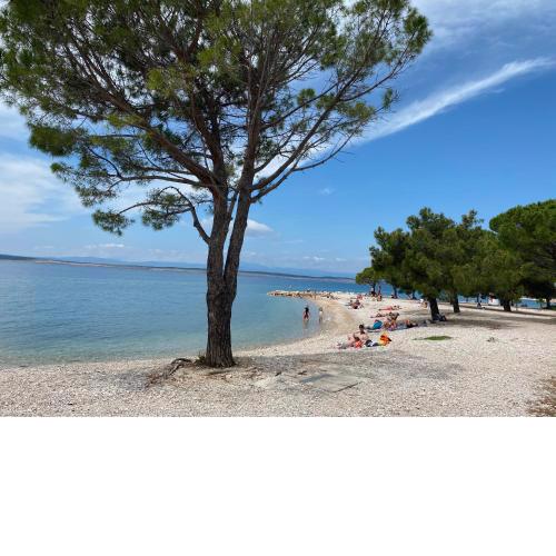 Family Apartments Vesna- 100 m Beach -Center Crikvenica