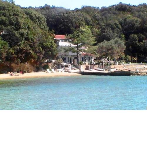 Family friendly apartments with a swimming pool Supetarska Draga - Gonar, Rab - 17860