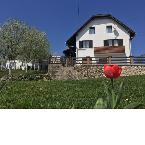 Guest House Aurora