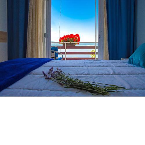 Guest House Djurdjica
