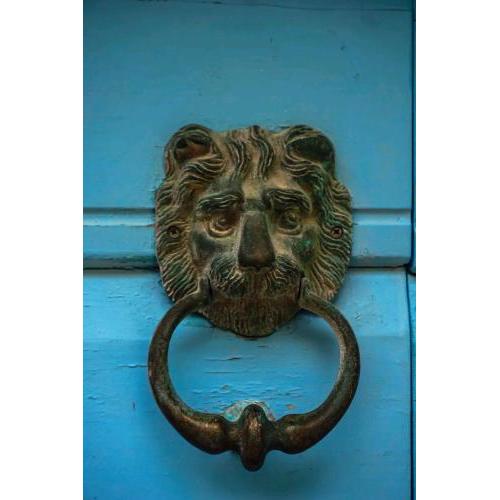 Guesthouse Lion