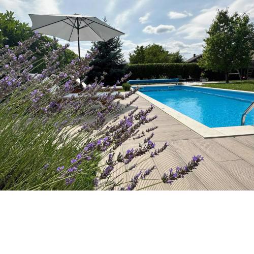 Holiday home Wisteria