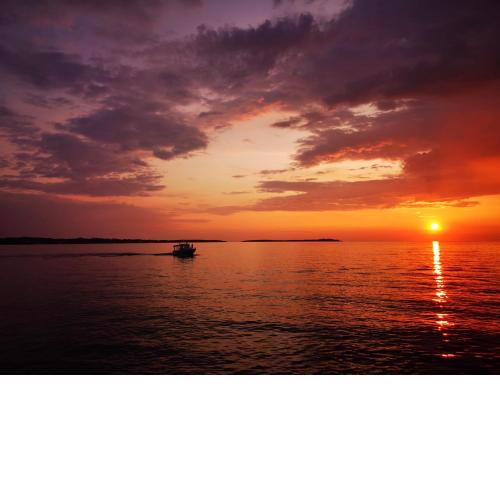 Holiday house Pineta - Fazana, sea view & mini wellness