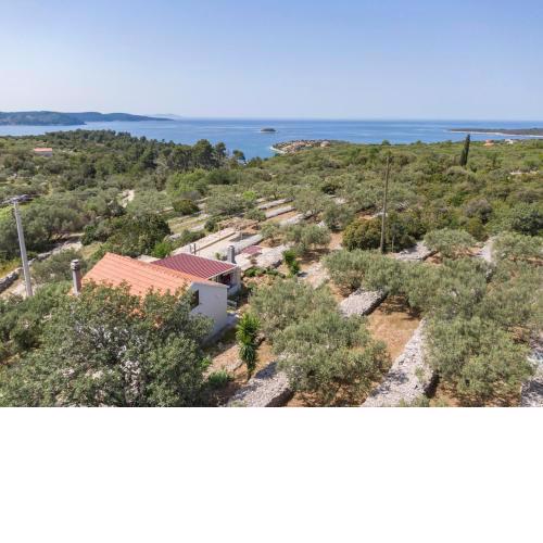Holiday House Roza