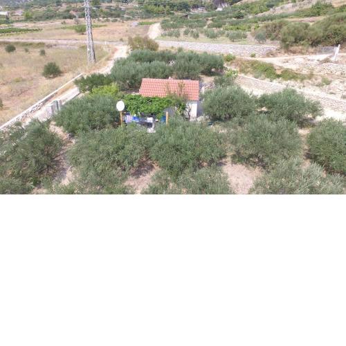 Holiday house with a parking space Bol, Brac - 12604