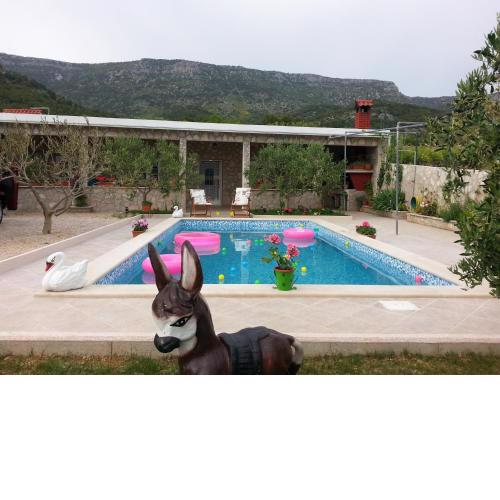 Holiday house with a swimming pool Bol, Brac - 11016