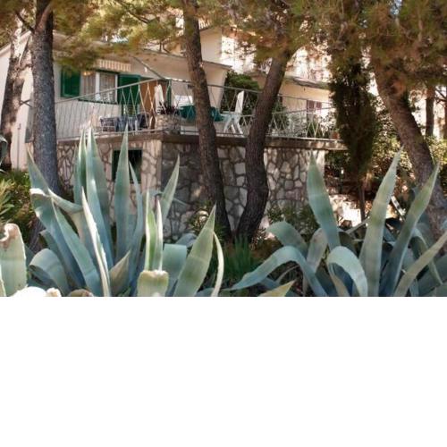 House Vlasta