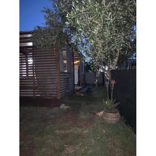 Large camper in the olive grove
