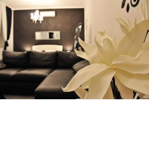 Luxury studio