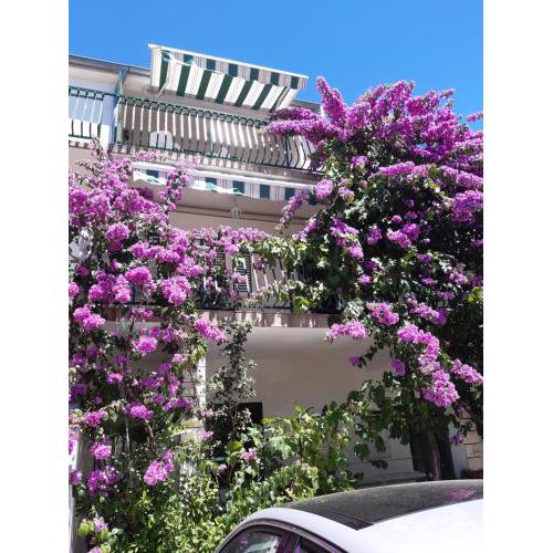 Mirjana apartman