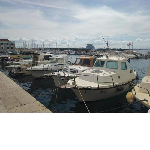 Mladen Vodice