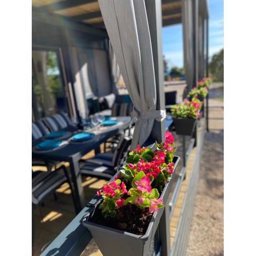 Mobile Home BIONDINA Camp Porton Biondi