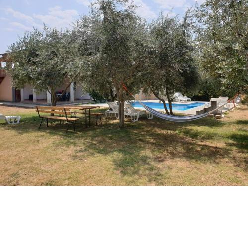 Modern Apartment in Banjole with Pool