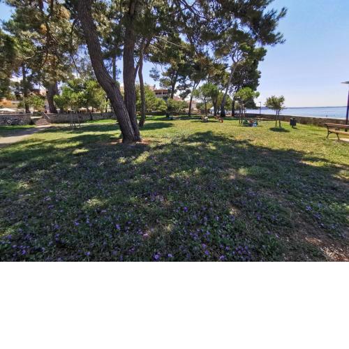 NINA deluxe SUPERIOR 5 star apartment, your piece of heaven by the sea & park