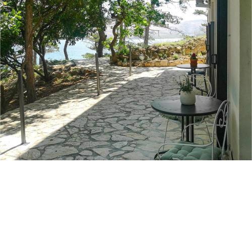 Pet Friendly Apartment In Novalja With Kitchen