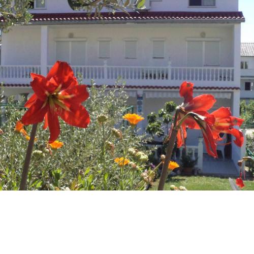 Rab Coastal Retreat for Big Families