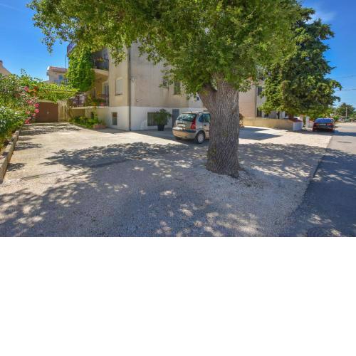 Rooms Oak Tree