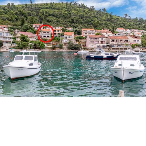 Seaside holiday house Brna, Korcula - 19219