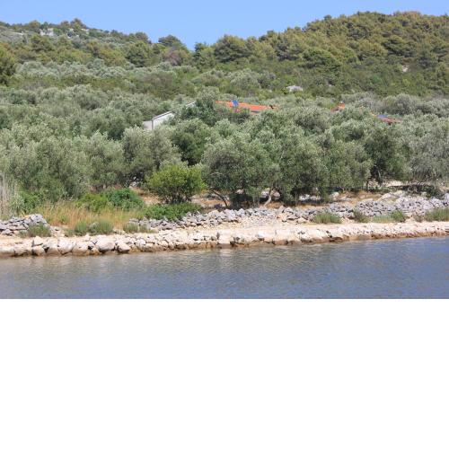Seaside secluded apartments Cove Magrovica - Telascica, Dugi otok - 8139