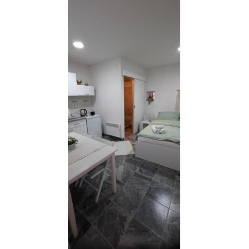 Studio apartman Centar