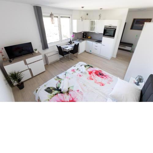 Studio apartman Moonlight