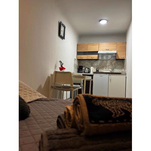 Studio apartman Rijeka