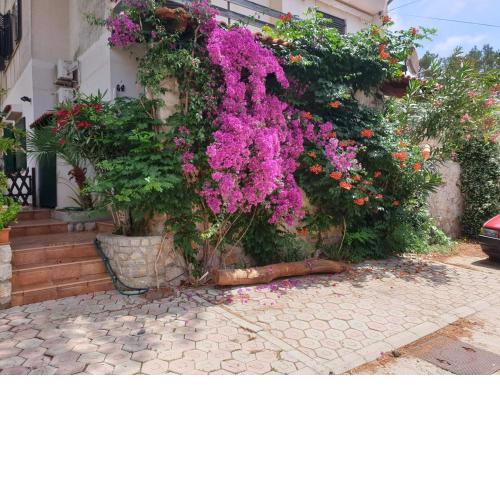 Studio apartment in Mali Losinj with terrace, air conditioning, WiFi, washing machine 4913-2
