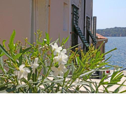 Swan City Apartment & Room