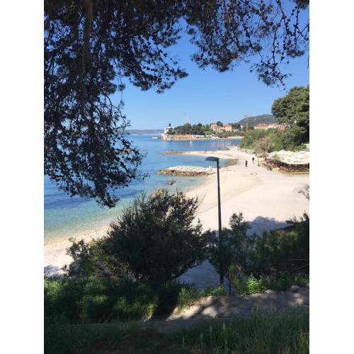 Tinel Split