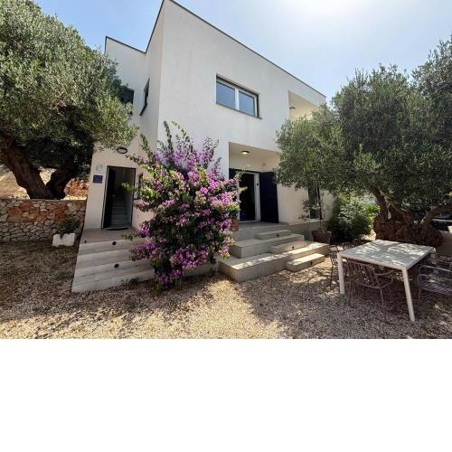 Villa Oleana